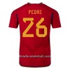 Camiseta de fútbol España PEDRI 26 Primera Equipación Mundial 2022 - Hombre